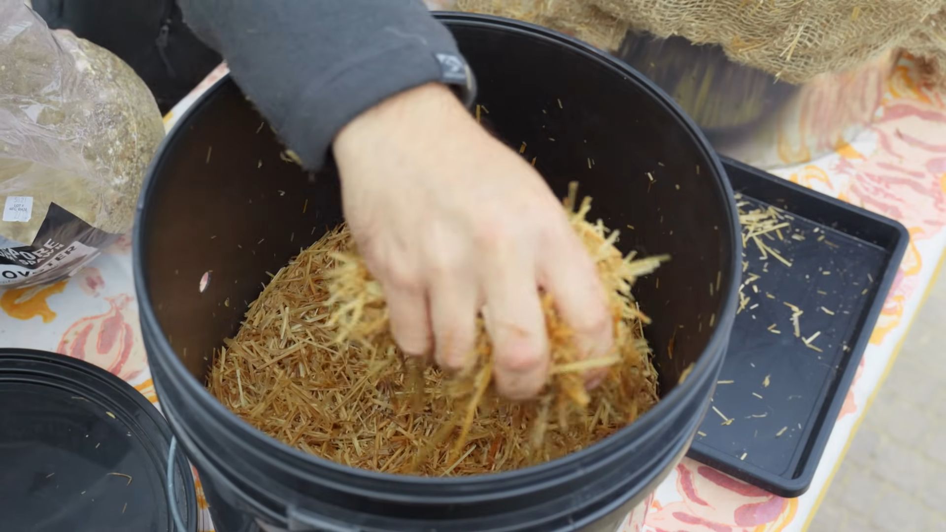 Pilze züchten im Eimer