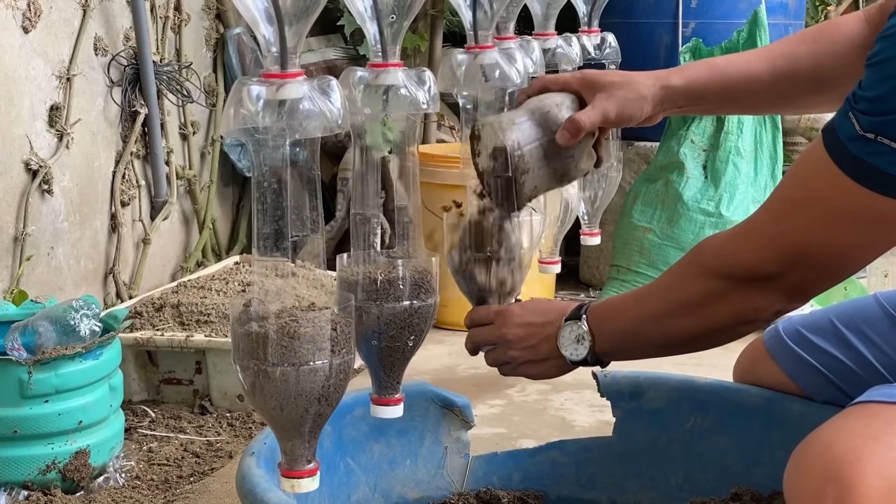 Erdbeeren anbauen Plastikflaschen