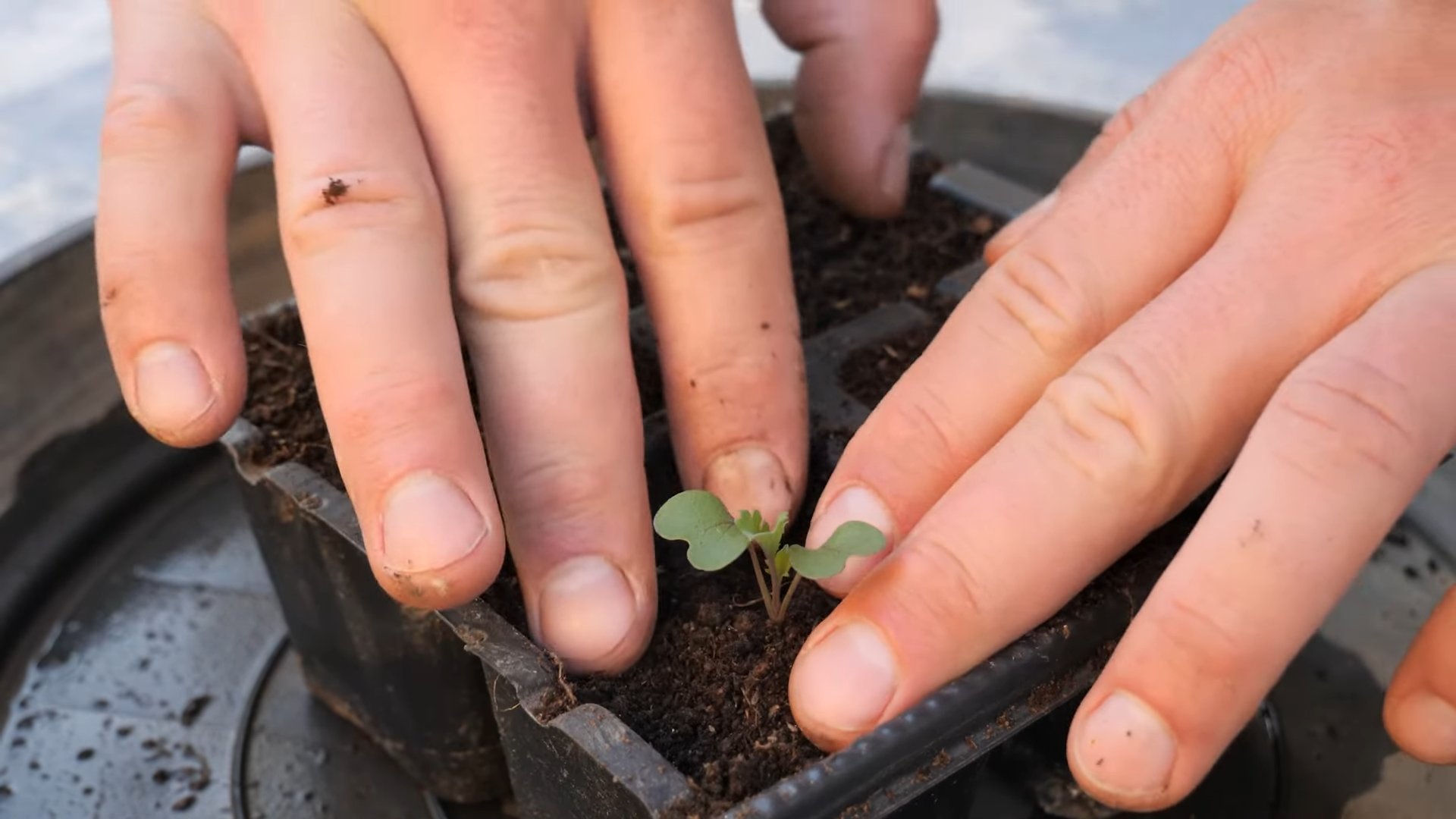 Kohl Anbau Kleine Wohnung